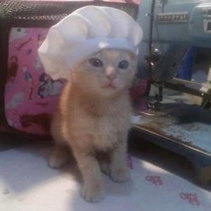 Meet your Posher, Miguel